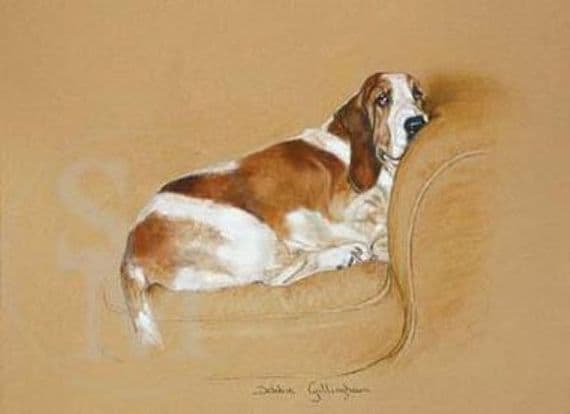 Bassett
